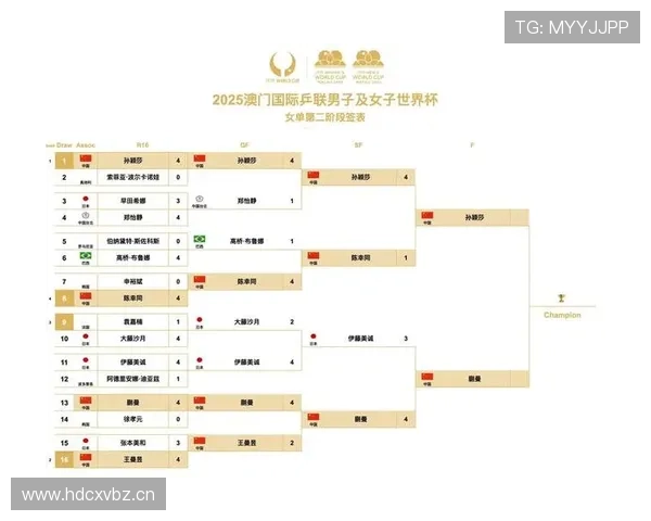 世界杯赛程全分析与数据统计深入解读报告